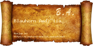 Blauhorn Amália névjegykártya